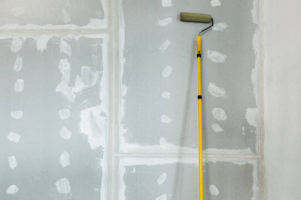 Best Drywall Crack Repair  in Trail Creek, IN